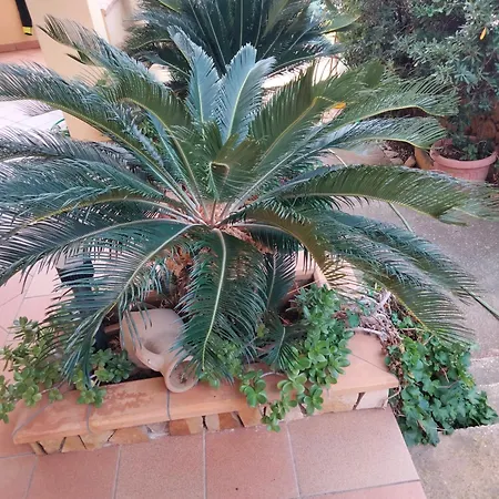 Acquamarina Custonaci